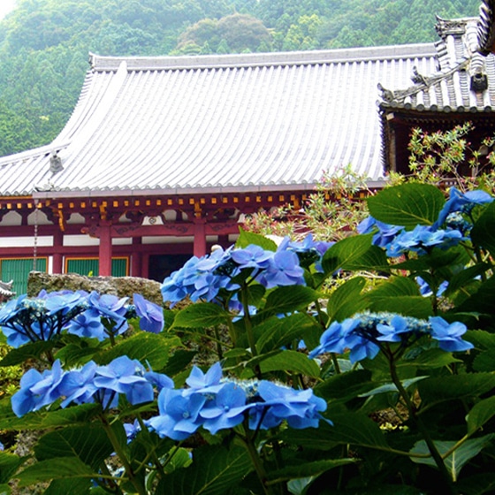 北僧坊の歴史